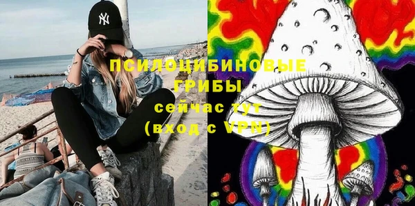 мяу мяу мука Арсеньев